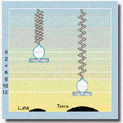 wpe3A.jpg (11097 byte)